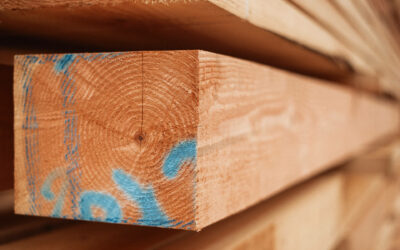 Salon de la filière bois 2025 – FIBOIS